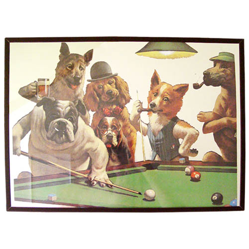 dog mirror, billiard mirror, sarnoff pool mirror  